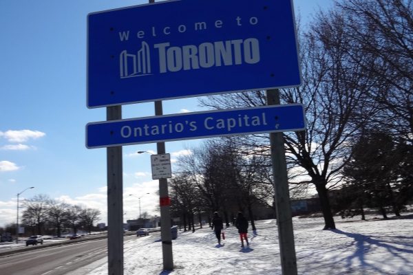 Toronto insider: a beginner’s guide