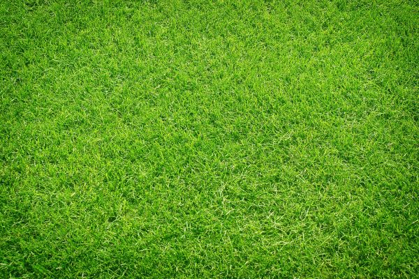 Eight reasons why evergreen content has boosted Ebner’s digital audience