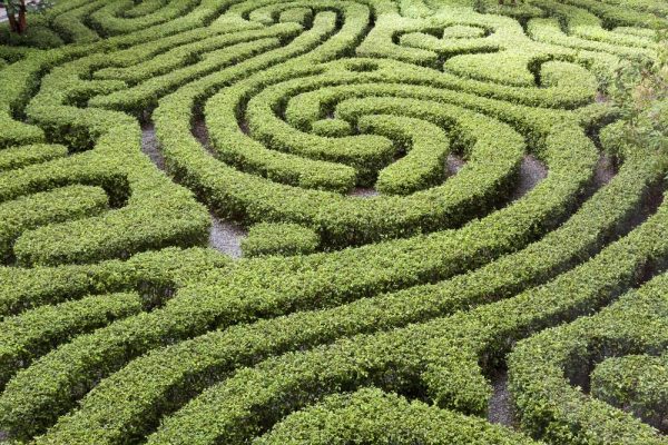 Making sense of the aggregator maze