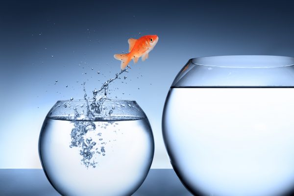 Why 2016 will be a watershed year for digital publishing