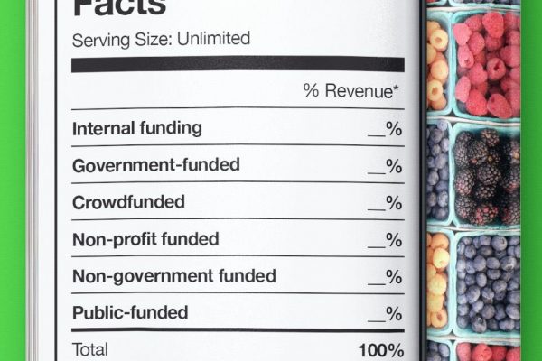 Diversify funding to fuel your future