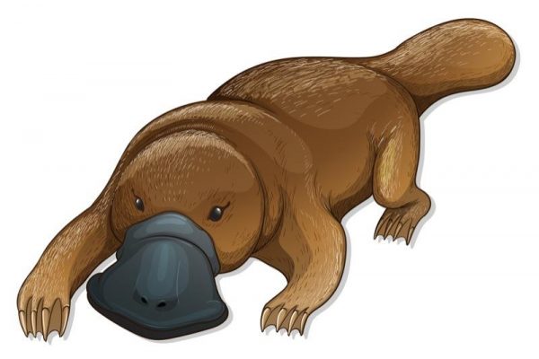 Dark social hints at a brighter future for traditional media