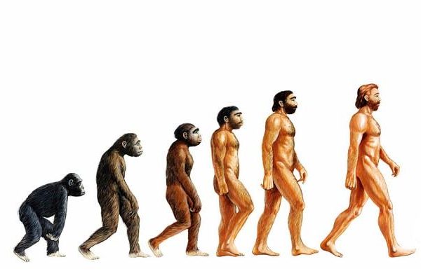 The evolution of the supply side platform