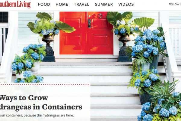 How Southern Living is going about brand extensions, from community to retail and more