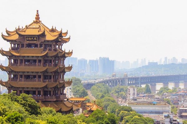 FIPP ASIA special rate ends 30 July: To understand the future… learn from China