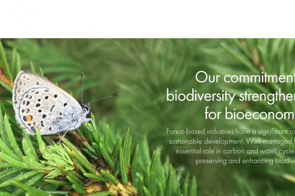 ‘How we take responsibility’ – by Päivi Rissanen, director, sustainability, UPM Communication Papers