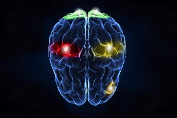 Premium editorial sites outperform social media for long-term memory encoding