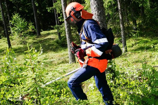 UPM retains position in Dow Jones Sustainability Europe Index