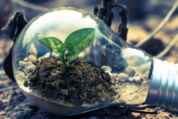 Taking advantage of opportunities in growth markets