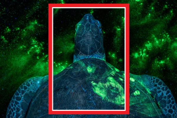 Life through the lens: The power and impact of Time’s visual storytelling