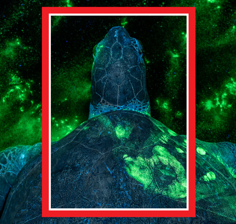 Life through the lens: The power and impact of Time’s visual storytelling